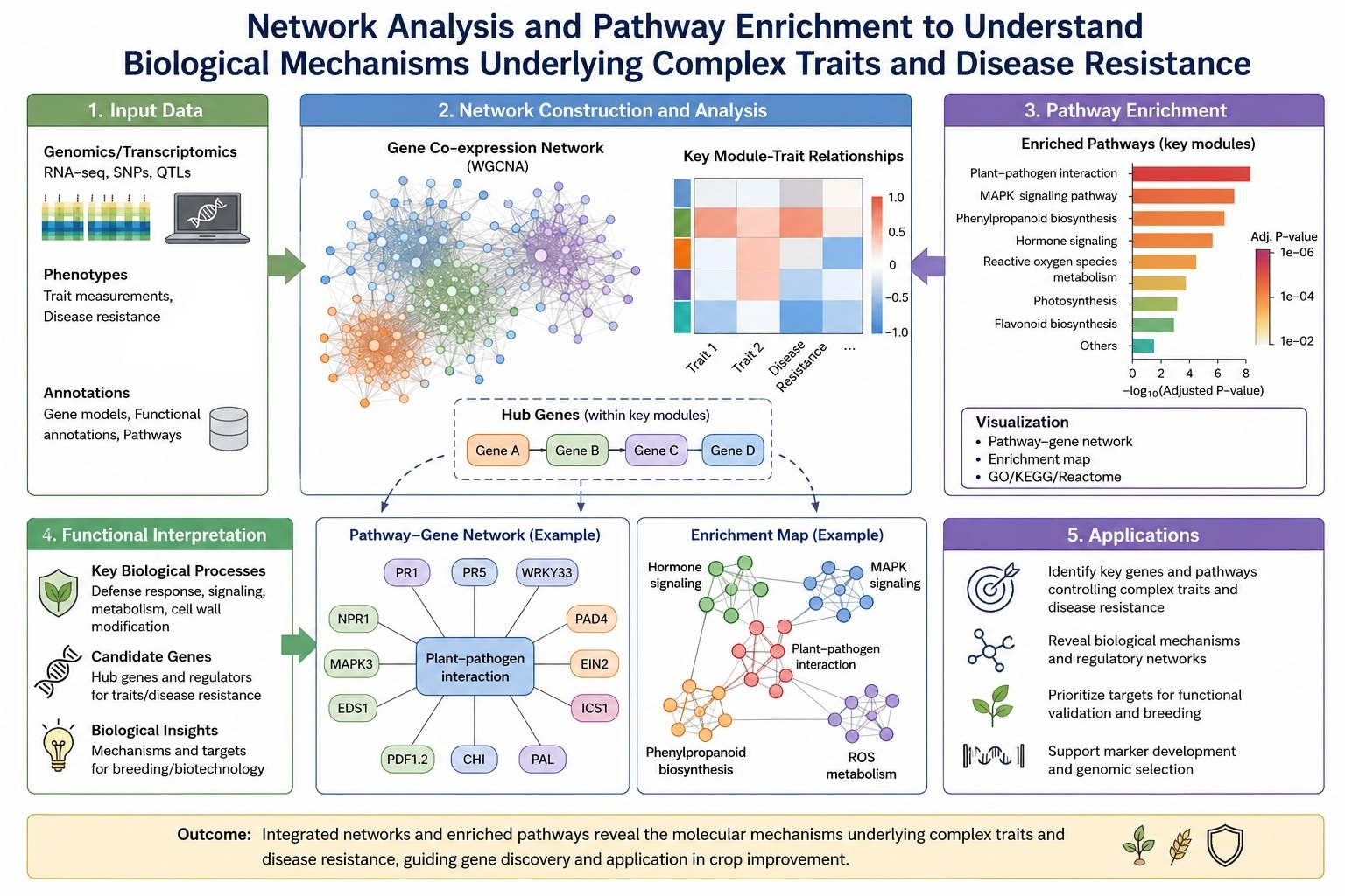 Systems Biology Work